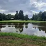 Lauku sēta "Kangari"