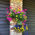 Lauku sēta "Kangari"