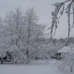 Lauku sēta "Kangari"